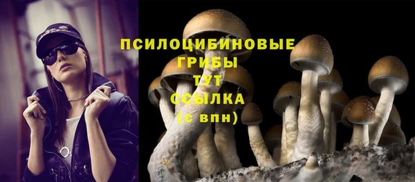 ешки Белоозёрский