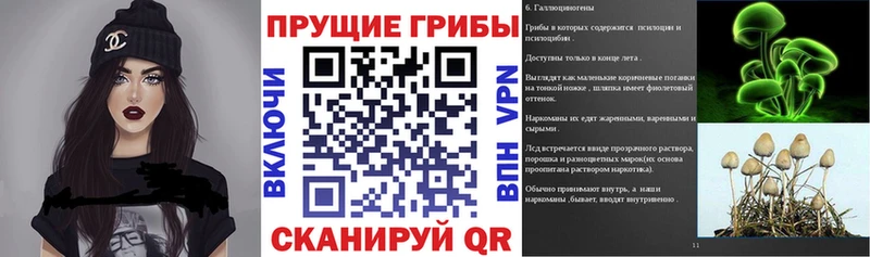 Псилоцибиновые грибы ЛСД  даркнет сайт  Волосово 